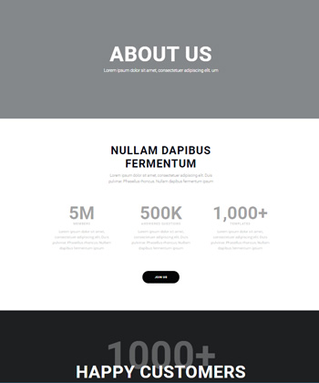 Elementor WooCommerce Template