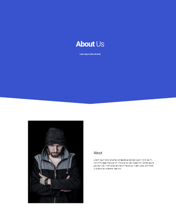 Elementor WooCommerce Template