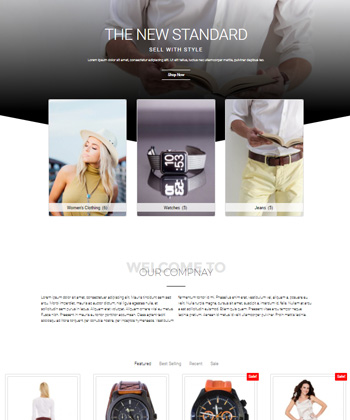 Elementor WooCommerce Template