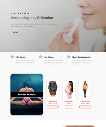 Elementor WooCommerce Template