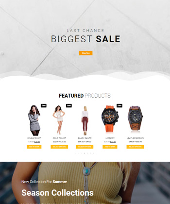 Elementor WooCommerce Template