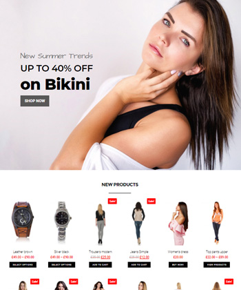 Elementor WooCommerce Template