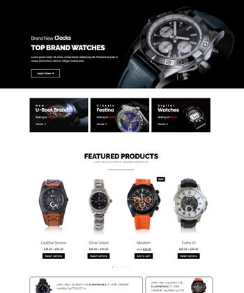 Elementor WooCommerce Template