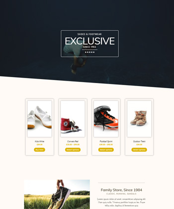 Elementor WooCommerce Template