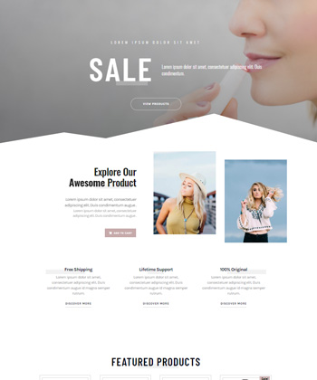 Elementor WooCommerce Template