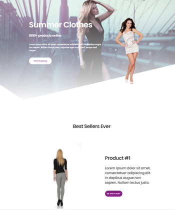 Elementor WooCommerce Template