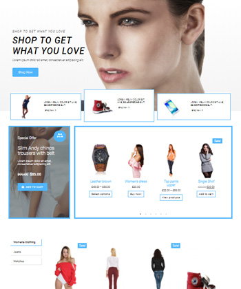 Elementor WooCommerce Template