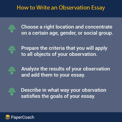 How to Write an Observation Essay How to Write an Observation Essay