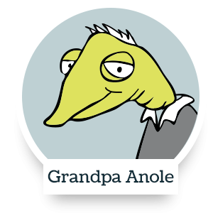 Grandpa Anole