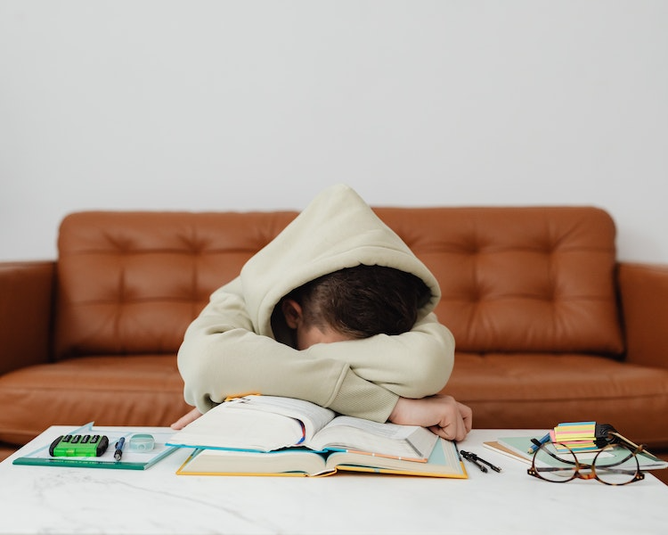 How to Write a Literary Analysis Essay. The Full Guide