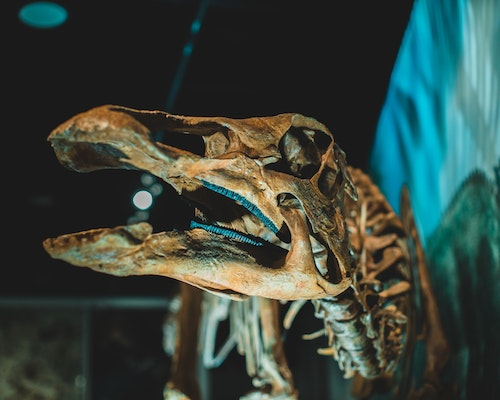 History Research Paper History Research Paper